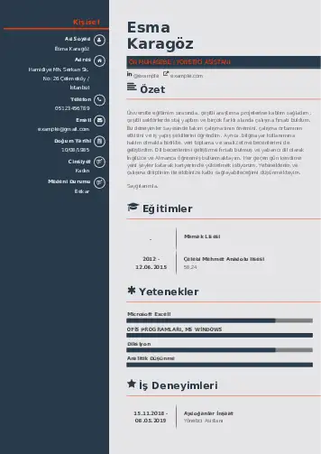 Yönetici Asistanı Cv Örnekleri cv indir